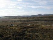 NG45SW0055 enclosure.jpg