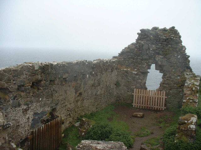 NG47SW0001 d.jpg