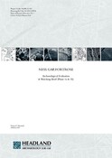 SHG25196_Ness_Gap_2011.pdf