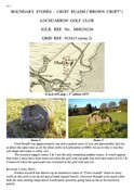 SHG25062_revised.pdf