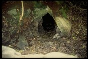 NG53NW0007 - Souterrain, Uamh Nan Ramh, 'Cave of the Oars', Clachan 1.jpg