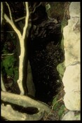 NG53NW0007 - Souterrain, Uamh Nan Ramh, 'Cave of the Oars', Clachan 3.jpg