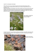 Croft59.pdf
