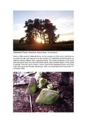 SHG25468_Admiral'sFarmCairn.pdf