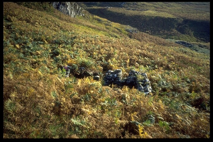 NG70SW0034 - Reidh an Daraich, Structure 2 (L).jpg