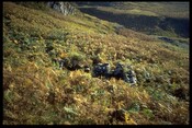 NG70SW0034 - Reidh an Daraich, Structure 2 (L).jpg