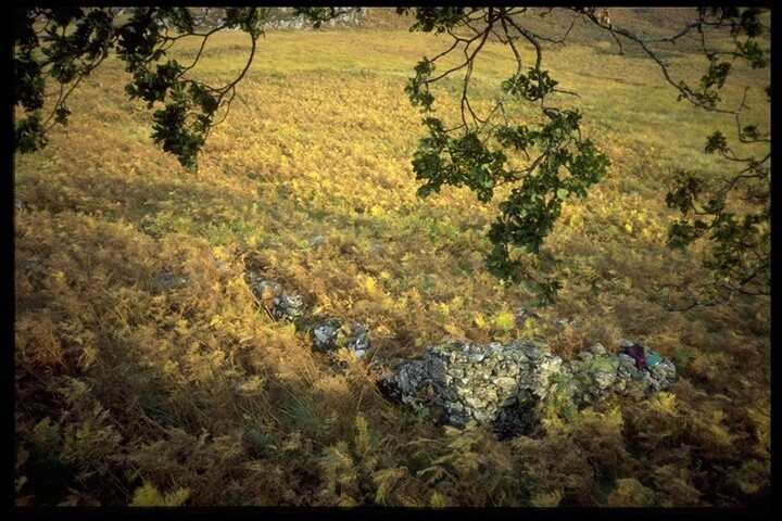 NG70SW0034 - Reidh an Daraich, Structure 7.jpg