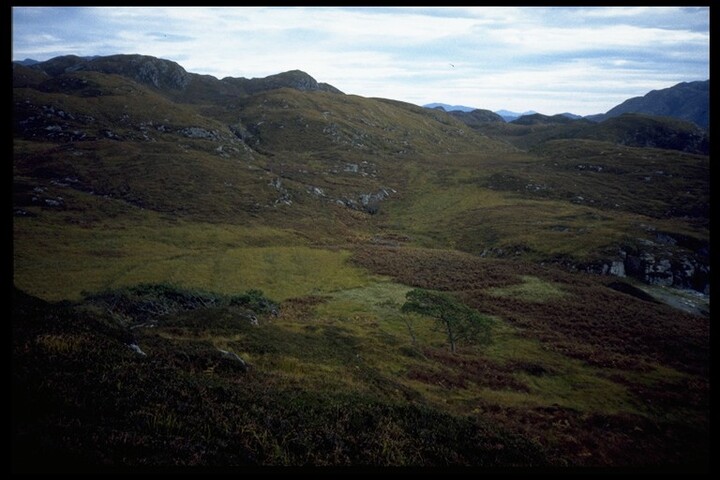 NG70SW0034 - Reidh an Daraich, view of.jpg