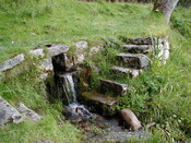 NG74SW0011CP02.JPG