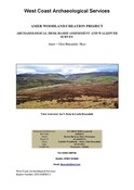 SHG25686_AMER Survey Report.pdf