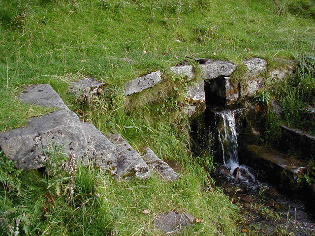 NG74SW0011CP03.JPG