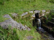 NG74SW0011CP03.JPG