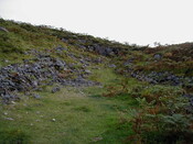 NG74SW0052CP02.JPG