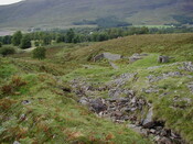 NG74SW0052CP03.JPG