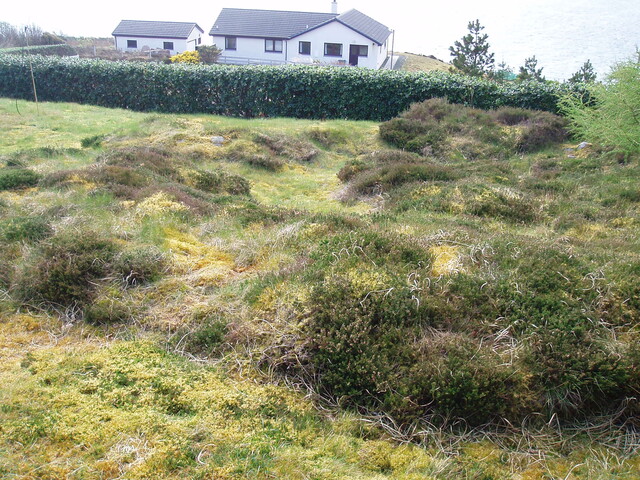 NG77NE0023 Am Fasach hut circle in garden.JPG