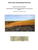 SHG25910_Killundine_2011.pdf