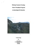 SHG25991_Diabaig_2010.pdf
