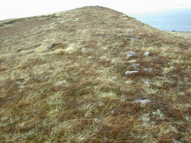 NG77SW0001 (2).JPG