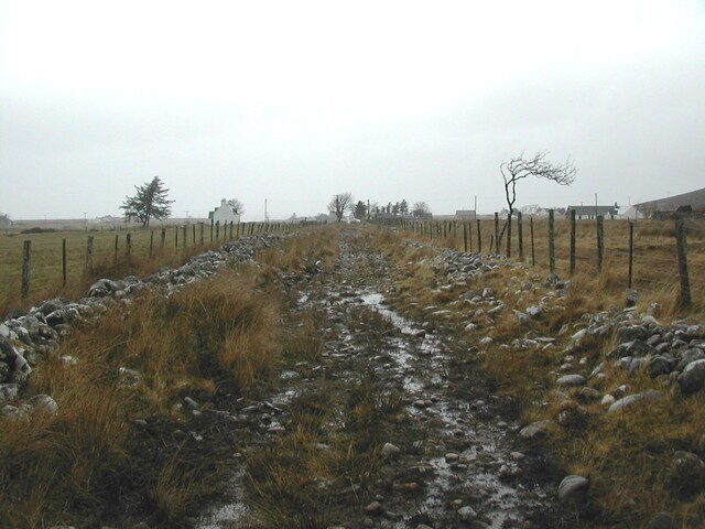 NG77SW0003 (1).JPG