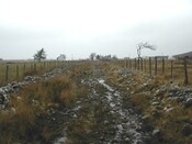 NG77SW0003 (1).JPG