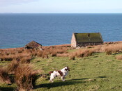 NG78NW0010 - 23 Melvaig, Gairloch (ARC3) 2.JPG