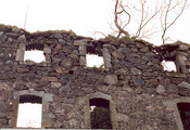 NG81NW0005b.jpg