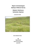 SHG26582_Skelpick_2013.pdf