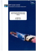 SHG24281_River_E_Hydroelectric_Environmental_Statement_2002.pdf