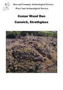 SHG26591_Comar_Wood_DSR_2014.pdf