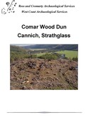 SHG26954_Comar_Wood_Final_2014.pdf