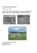 SHG24833_Slackbuie_FinalReport.pdf