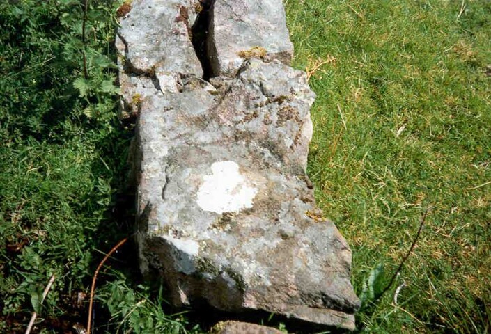 NG85NE0002.jpg