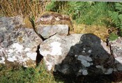 NG85NE0002a.jpg