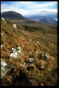 NG85NW0001 - Cellular structures, Alligin Shuas, Applecross 4.jpg