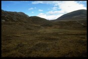 NG85NW0001 - Cellular structures, Alligin Shuas, Applecross 5.jpg