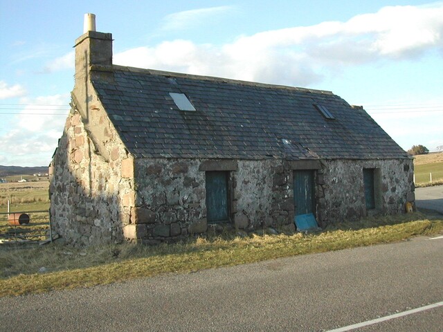 NG88NE0016 (2).JPG