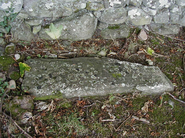 NG88SE0055HAW2.JPG