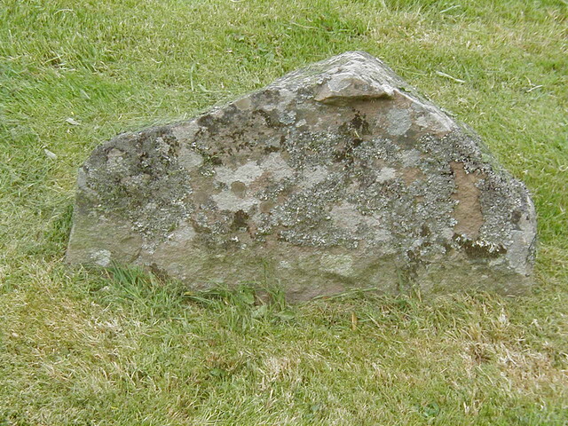 NG88SE0055HAW8.JPG
