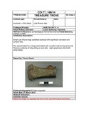 SHG28370_TT.166.14_Opisdale Socketed Axehead (P).pdf