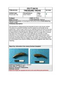 SHG28370_TT.84.10_Pitgrundy Hacksilver (P).pdf
