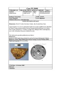SHG28370_TT.39.05_Dornoch Anglo-Saxon Mount (P).pdf