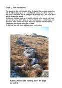 SHG28383_Croft_1_2011.pdf