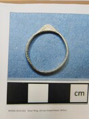 SHG28371_2013.022_Glenbeg Farm, Milton medieval ring.pdf