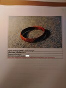 SHG28370_TT.75.13_Cadboll ring (P).pdf