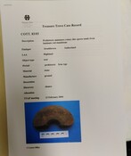 SHG28370_TT.83.03_Quern from Strathbrora (P).pdf