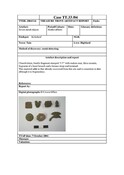 SHG28370_TT.33.04_Kirksheaf MD Finds (P).pdf