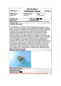 SHG28370_TT.38.12_Stain Ring (P).pdf