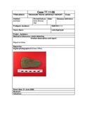 SHG28370_TT.11.06_Auldearn BA axehead (P).pdf