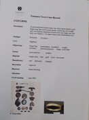 SHG28370_TT.89-01_Redcastle MD finds (P).pdf