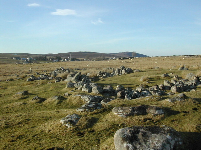 NG99SW0008 (1).JPG